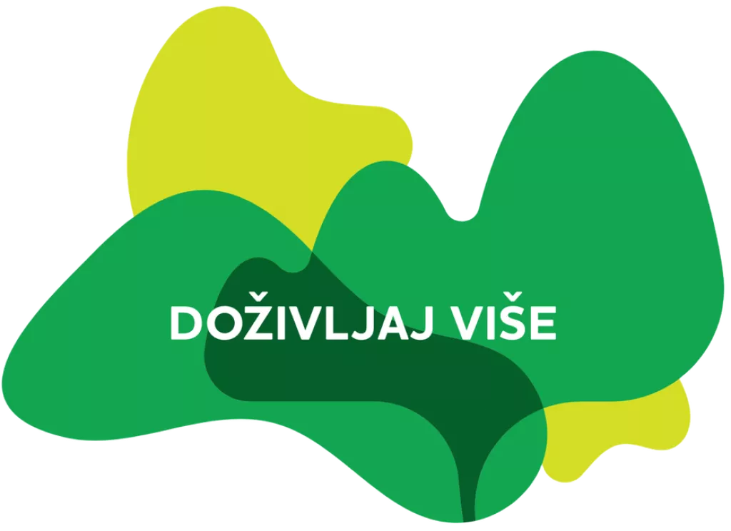 Doživljaj više