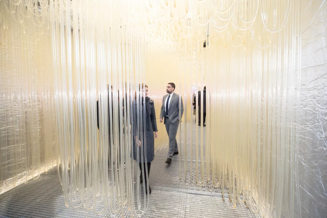 Izrada paviljona Republike Hrvatske za Svjetsku izložbu Expo 2025 Osaka u tvrtki Enison