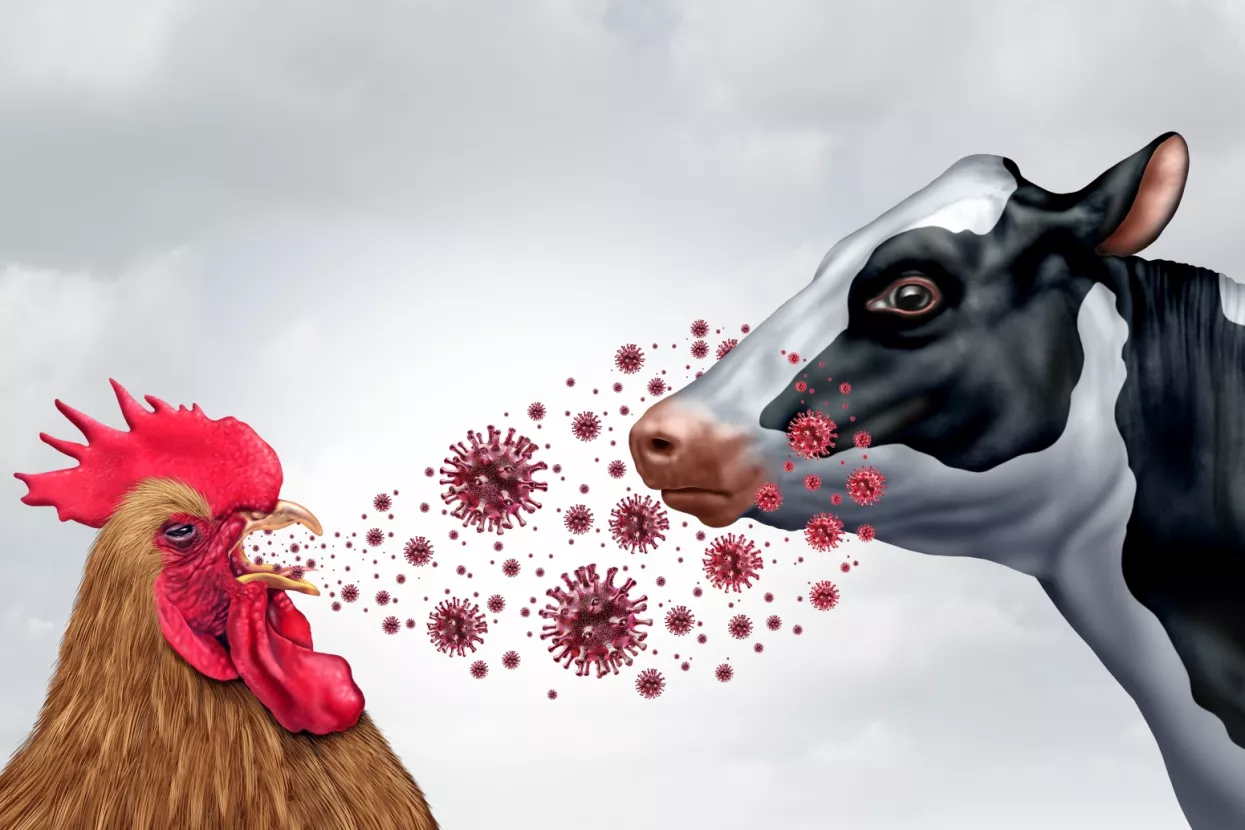 Biosigurnost: Hrvatska iz svojih pogre&scaron;aka ni&scaron;ta nije naučila