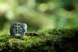 zelena pravila, klima, okoli&scaron;