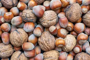 orasi, lje&scaron;njaci, orah, lje&scaron;njak, ora&scaron;asti plodovi