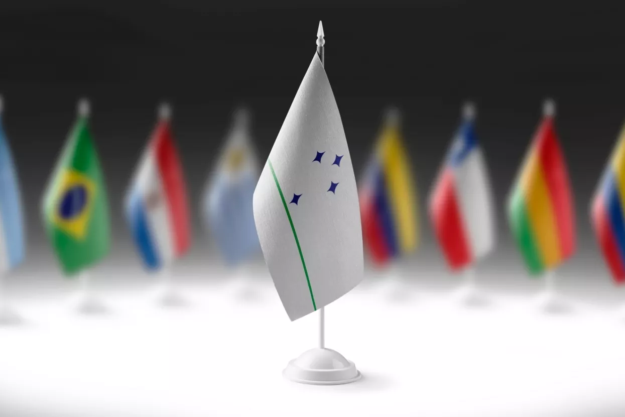 Mercosur, Mercosur zemlje, zastave Mercosura