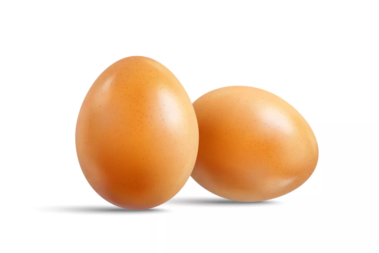 Ljevica i desnica u 'igri': Pronađi socijalista