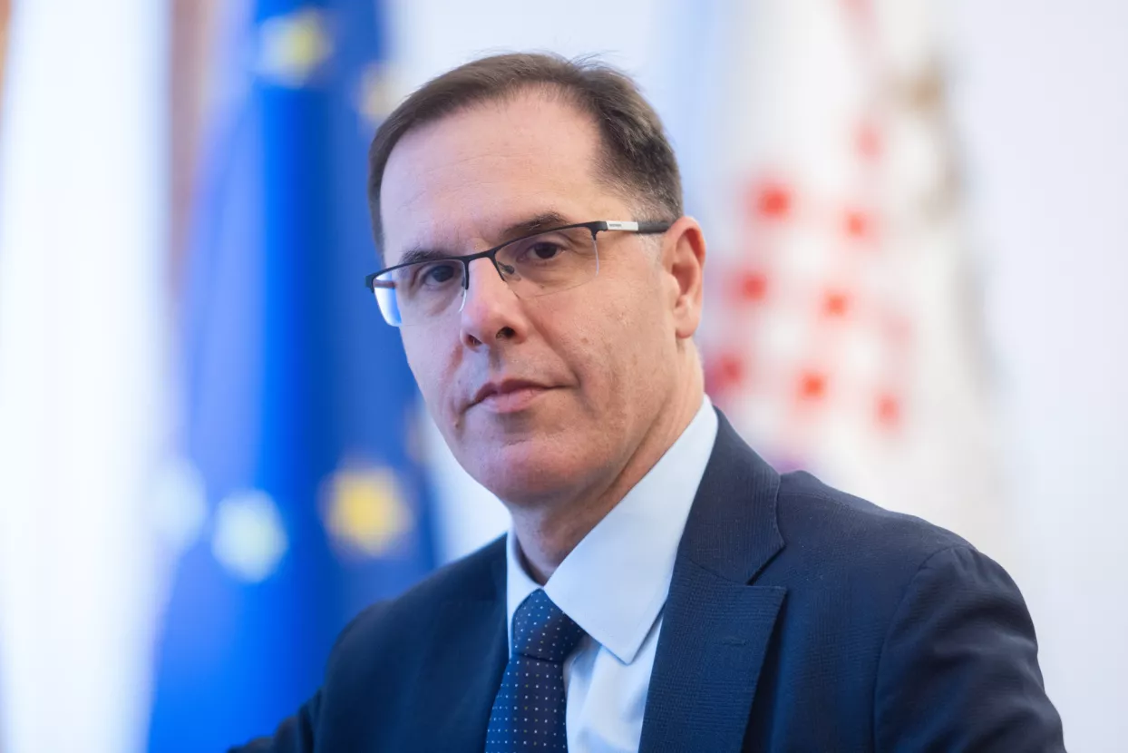 Goran &Scaron;aravanja, Hrvatska gospodarska komora.