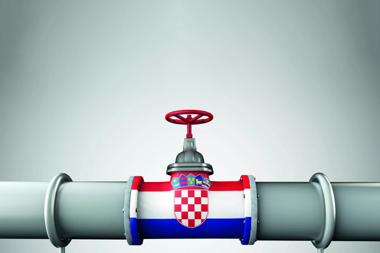 Plin postaje strate&scaron;ki resurs, a ne samo trži&scaron;na roba