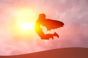 Prilog 911 - Obnovljivi izvori energije i energetska učinkovitost - Dizalice topline