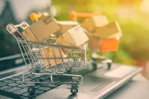 online trgovina, potražnja, ko&scaron;arica, kupovina, kupnja, shopping