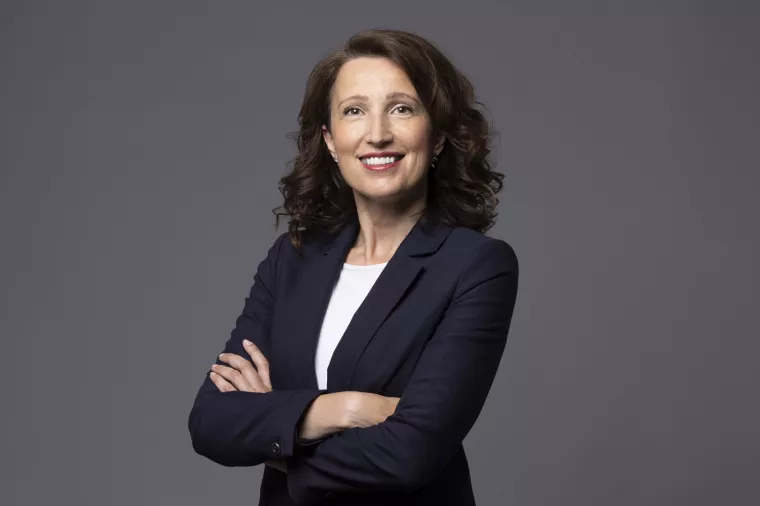 Jadranka Lović, FER, Crobohub