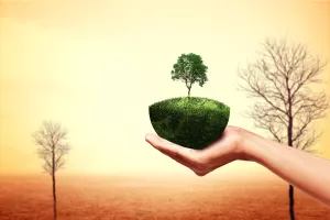 Poljoprivreda na pretplatu