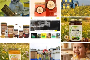 platforma beezzify