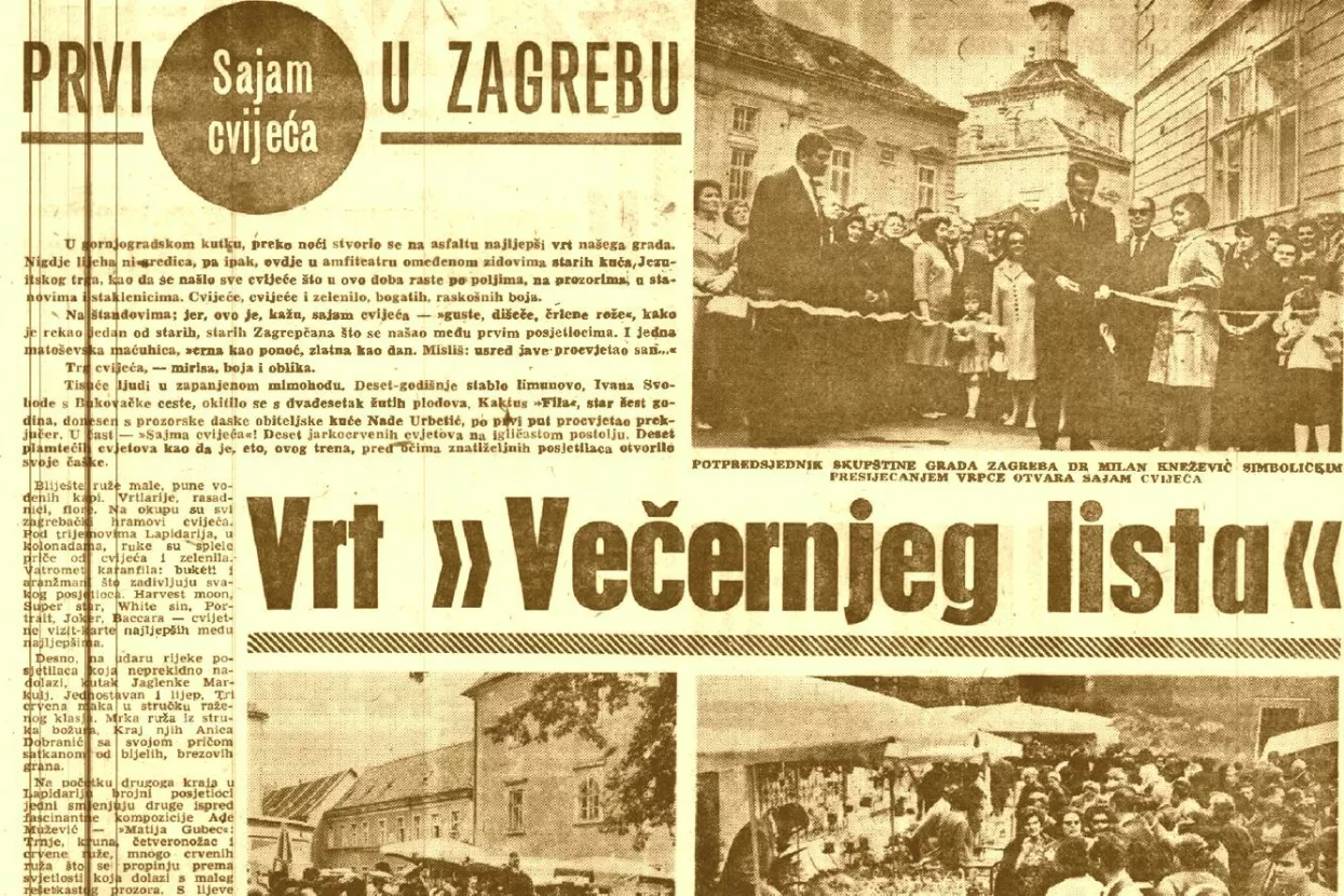 Faksimil izvje&scaron;taja Večernjeg lista s otvorenja prvog Sajma cvijeća 1966.