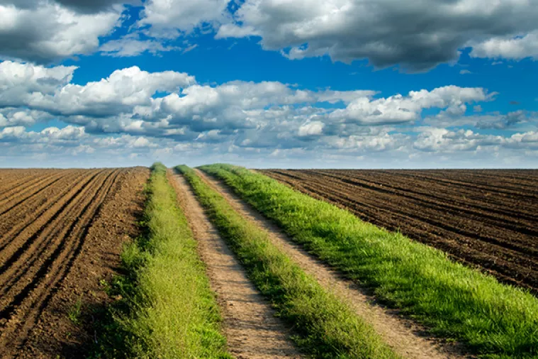 Zbog kr&scaron;enja pravila plodoreda kazne za poljoprivrednike