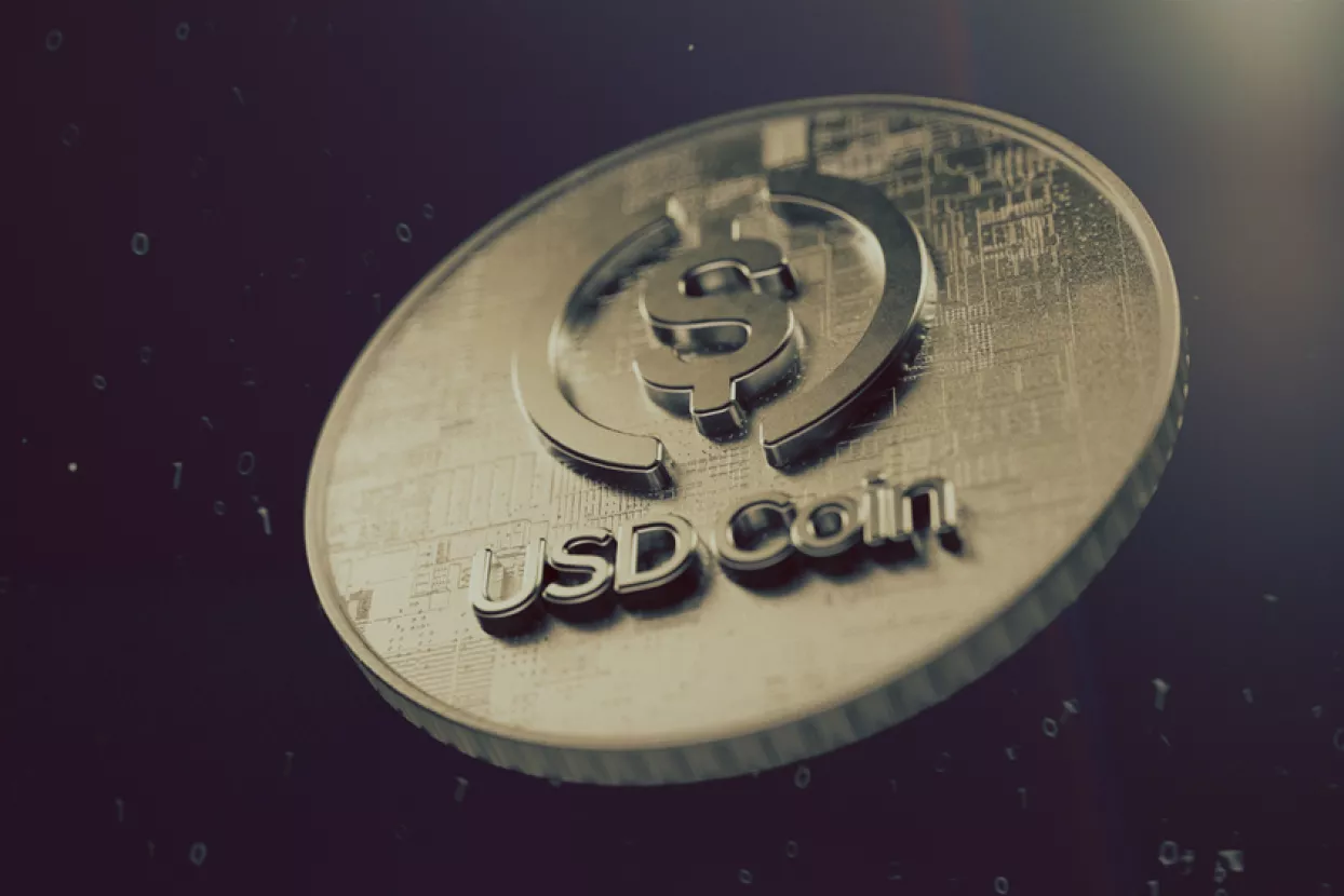 USD coin (USDC) cryptocurrency symbol. Cryptocurrency coin 3D illustration