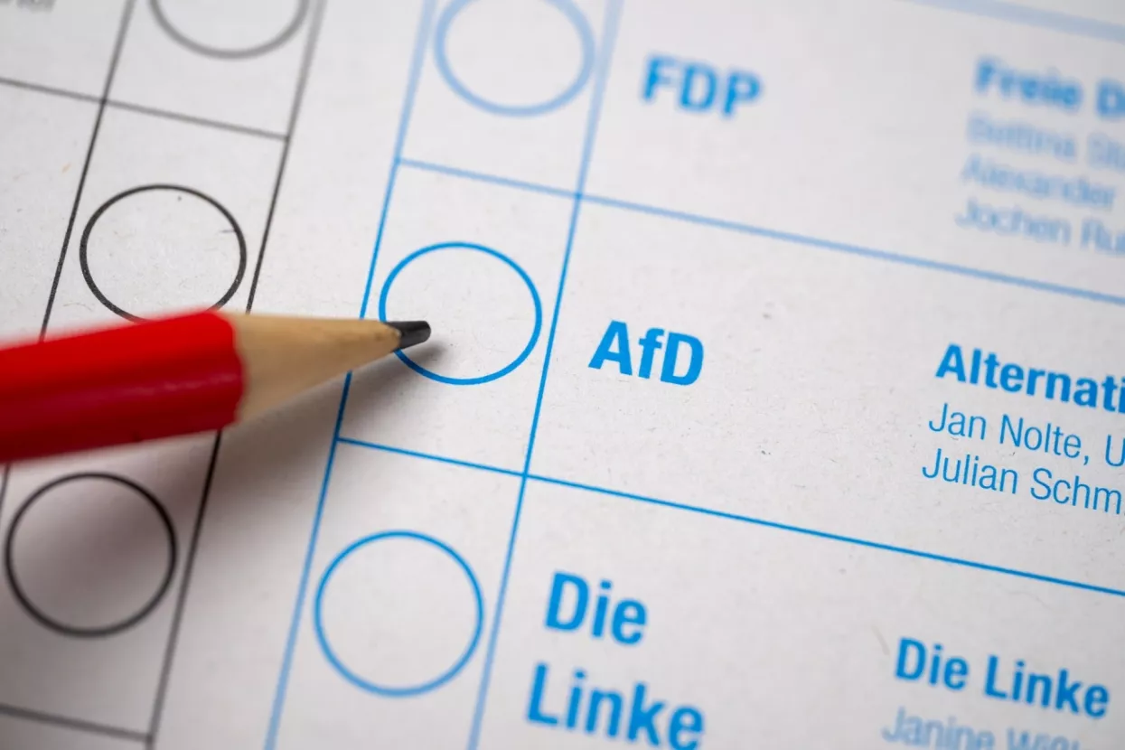AFD Njemačka 